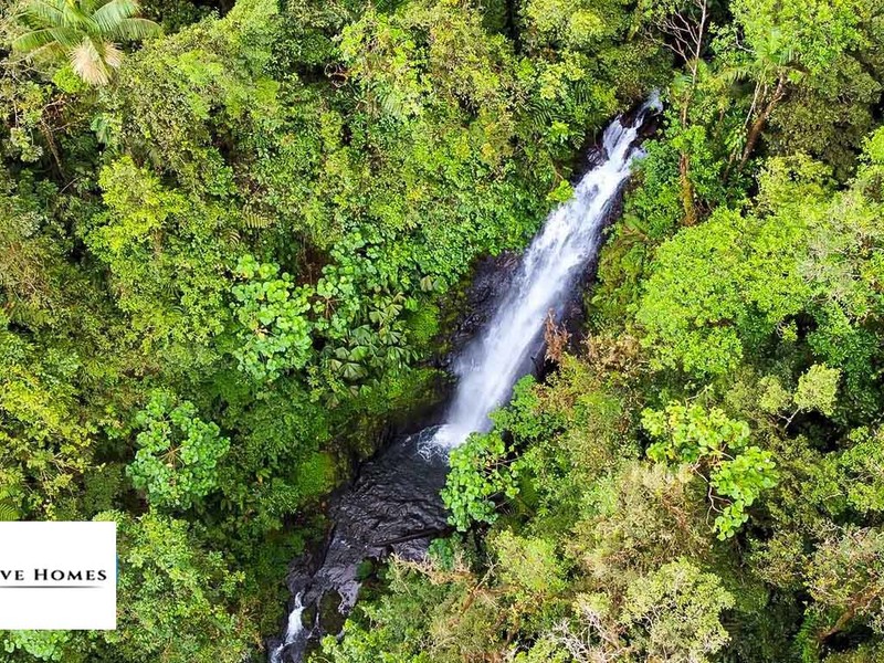 0 bed Lot/Land For Sale in Sarchi, 